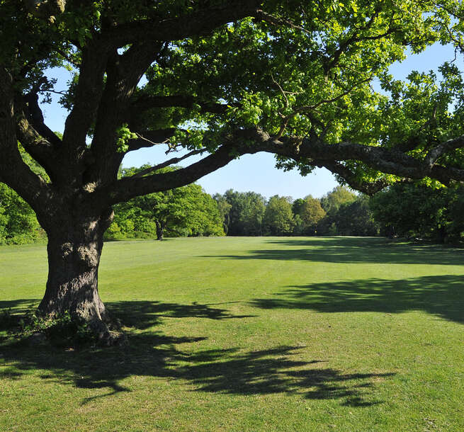 Wimbledon Common Golf Club 11th Hole