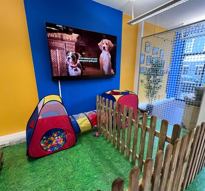 Dogs & Cats Grooming Dog Play Area