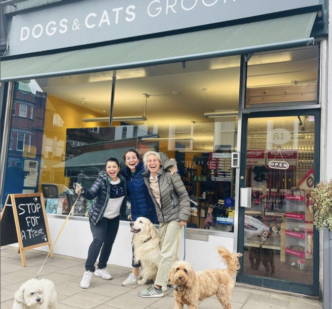 Dogs & Cats Grooming shop front