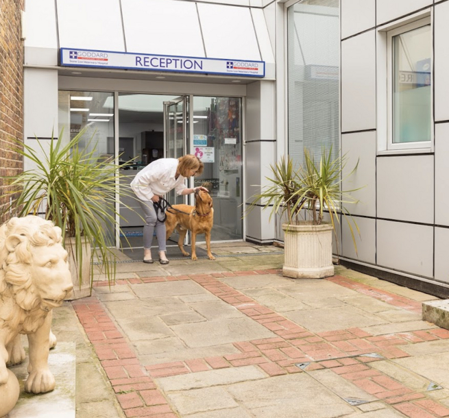 Stone Lion Hospital entrance