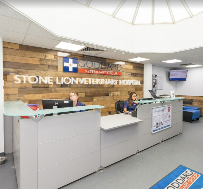 Stone Lion Hospital reception