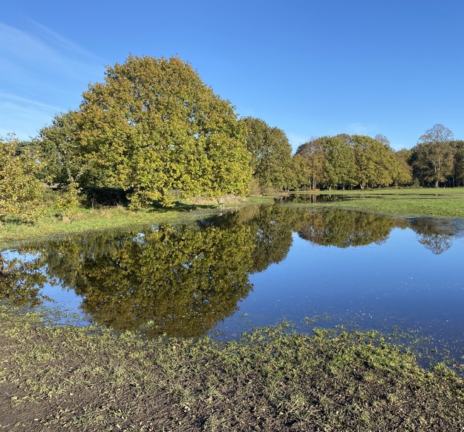 WPCC - reflections on flooded field