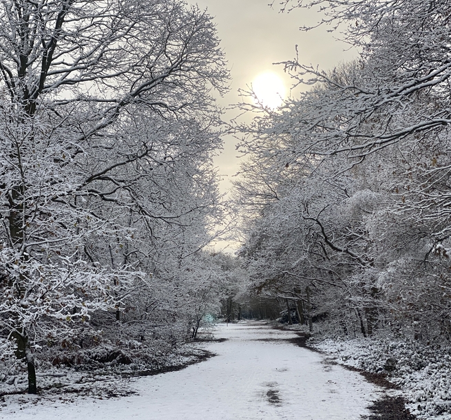 WPCC - the Common in winter with light snow