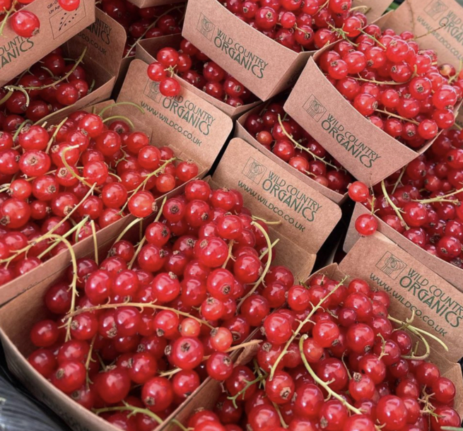 Wimbledon Village Farmers Market punnets of tomatoes