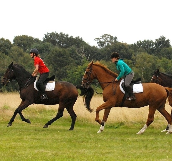 WVS - 3 horse riders out on Common