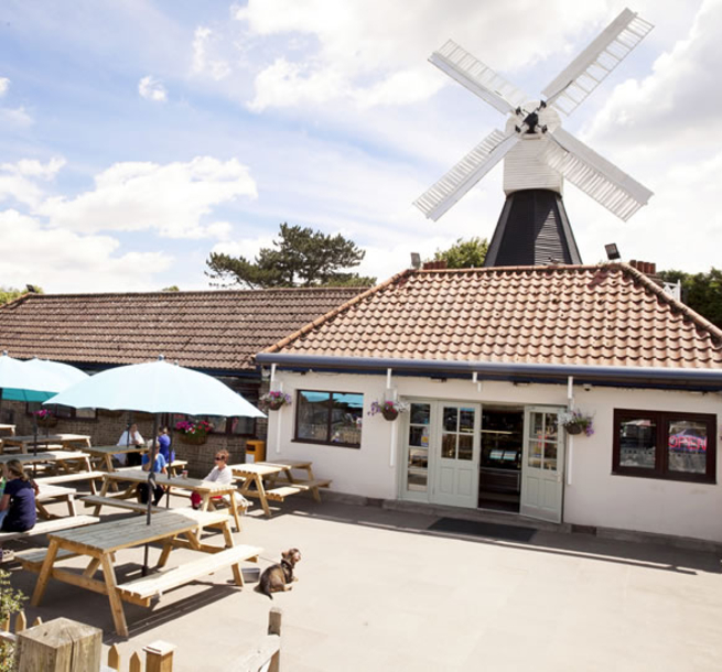 Windmill Tearooms on a sunny day