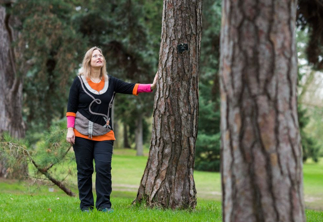 Forest Bathing Walk @ Cannizaro Park