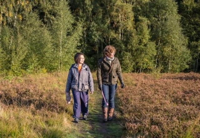 Wimbledon Common Healthy Walks image