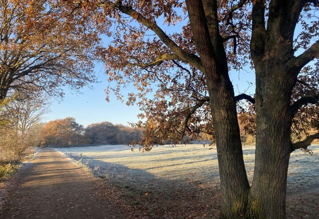 Wimbledon Common Levy Consultation image